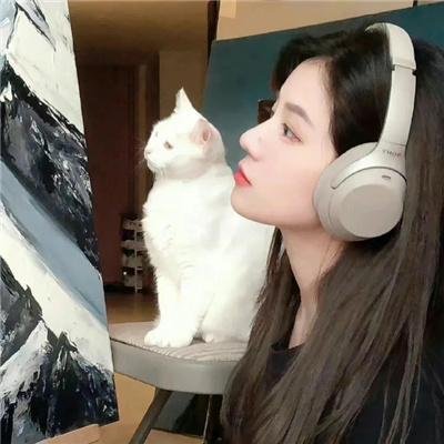 冷月寒秋